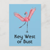 Key West oder Bust Funny Florida Pink Flamingo Postkarte (Vorderseite)
