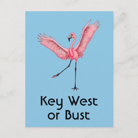 Key West oder Bust Funny Florida Pink Flamingo Postkarte (Vorderseite)
