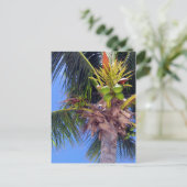 Key West Palm - Postkarte (Stehend Vorderseite)