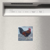 Key West Rooster Magnet (In Situ (Geschirrspüler))