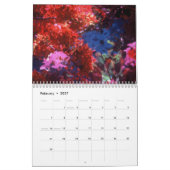 Key West-Schönheit durch Scott S. Jones Kalender (Feb 2027)