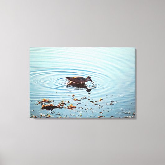 Key West Shorebird Ocean Scene Florida Keys Leinwanddruck (Vorderseite)