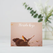 Key West Shorebird Sunset Rocks Florida Keys Postkarte (Stehend Vorderseite)