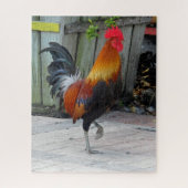 Key West Sinti und Roma Rooster Design Jigsaw Puzz Puzzle (Vertikal)