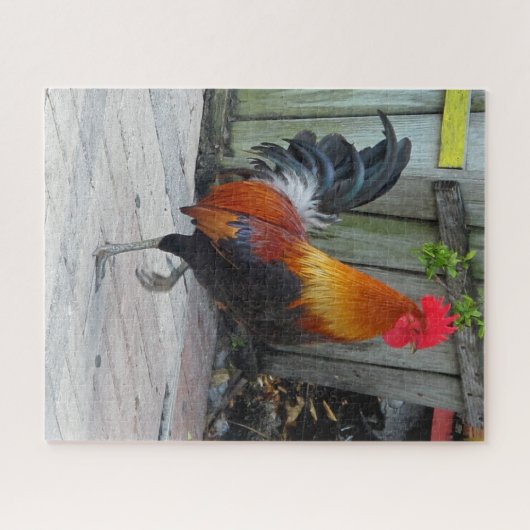 Key West Sinti und Roma Rooster Design Jigsaw Puzz Puzzle (Horizontal)