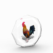 Key West - Sinti und Roma Rooster Fotoblock (Links)