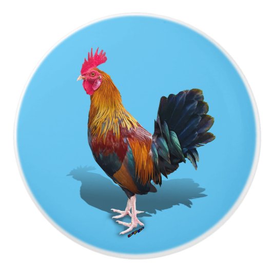 Key West - Sinti und Roma Rooster Keramikknauf (Vorderseite)