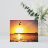 Key West Sunset Postkarte (Stehend Vorderseite)