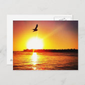 Key West Sunset Postkarte (Vorne/Hinten)