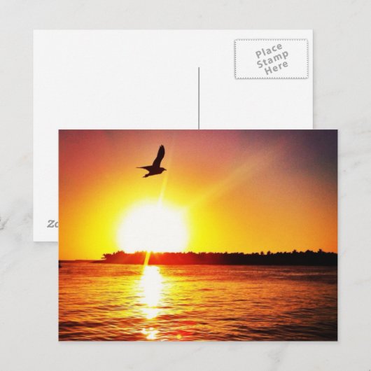 Key West Sunset Postkarte (Vorne/Hinten)