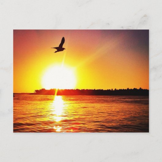 Key West Sunset Postkarte (Vorderseite)