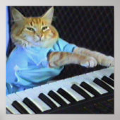 Keyboard Cat Canvas Print! Poster (Vorne)