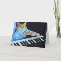 Keyboard Cat Gruß/Weihnachtskarten!