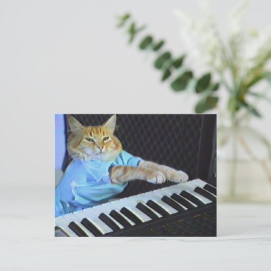 Keyboard Cat Postcard! Postkarte (Stehend Vorderseite)
