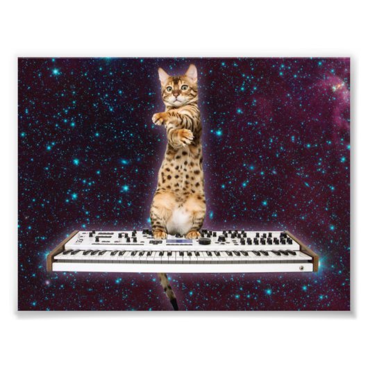 Keyboard-Katze schlägt wieder Fotodruck (Vorne)