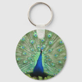 Keychain - Proud Peacock Schlüsselanhänger (Vorderseite)