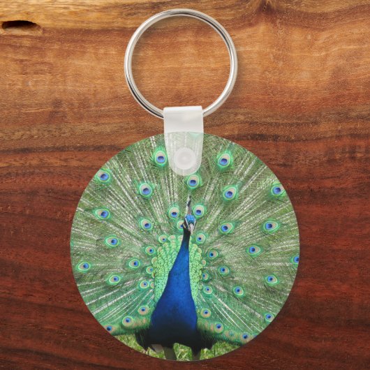 Keychain - Proud Peacock Schlüsselanhänger (Vorderseite)