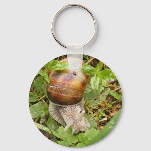 Keychain with snail. schlüsselanhänger (Vorderseite)