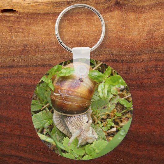 Keychain with snail. schlüsselanhänger (Vorderseite)