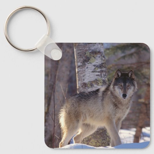 Keychain-Wolf Keychain Schlüsselanhänger (Vorderseite)