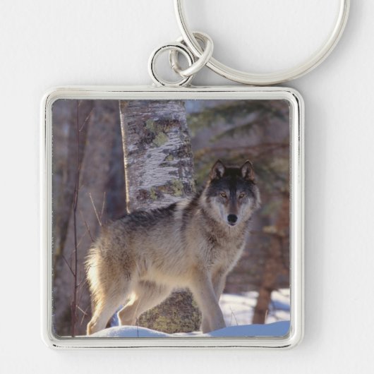 Keychain-Wolf Keychain Schlüsselanhänger (Vorne)