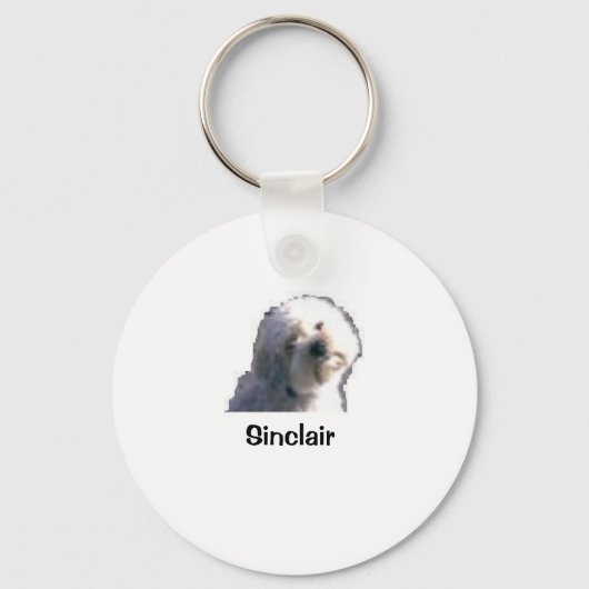 keyholder Sinclair Schlüsselanhänger (Vorderseite)