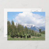 Keystone, CO Postkarte (Vorne/Hinten)