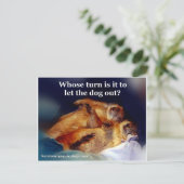 Keystone Prairie Hunde ließ das Hundememe heraus Postkarte (Stehend Vorderseite)