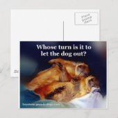 Keystone Prairie Hunde ließ das Hundememe heraus Postkarte (Vorne/Hinten)