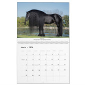 KFPS Friesian Stallion Calendar Kalender (Mär 2026)