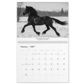 KFPS Friesian Stallion Calendar Kalender (Feb 2027)