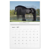 KFPS Friesian Stallion Calendar Kalender (Mär 2027)
