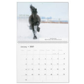KFPS Friesian Stallion Calendar Kalender (Jan 2027)