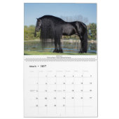 KFPS Friesian Stallion Calendar Kalender (Mär 2027)