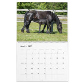 KFPS Friesische Pferde Kalender (Mär 2027)