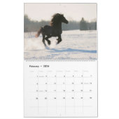 KFPS Friesische Pferde Kalender (Feb 2026)
