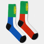 Khakassia Flag Socken (Rechts)