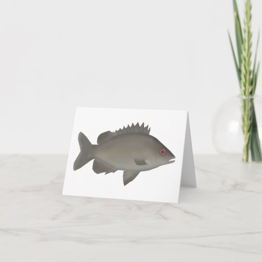 Khaki Grunter (Vorderseite)