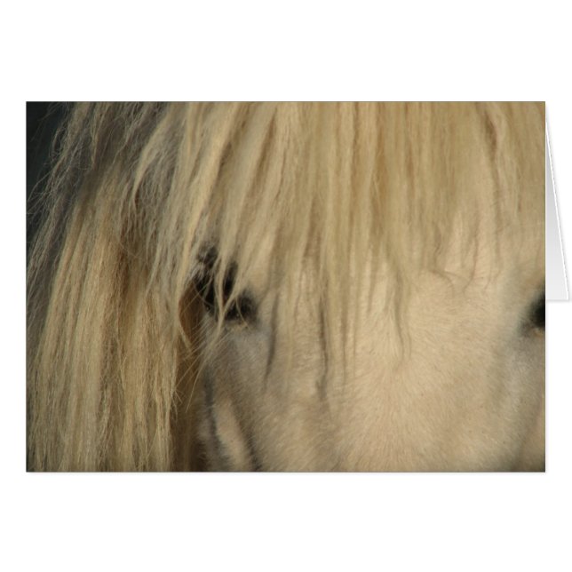 Khalif (Vorderseite (Horizontal))