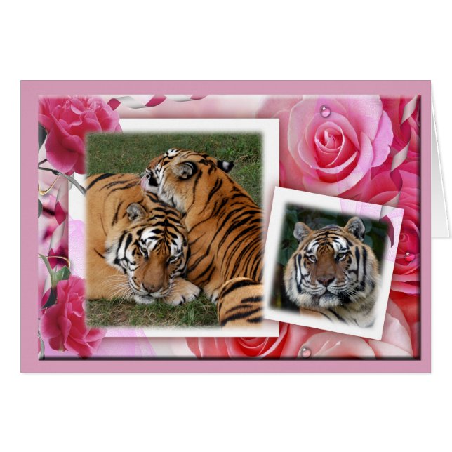 Khan-00100-65x45 (Vorderseite (Horizontal))