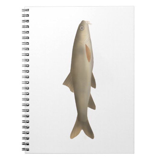 Khont Notizblock (Vorderseite)