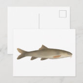 Khont Postkarte (Vorne/Hinten)