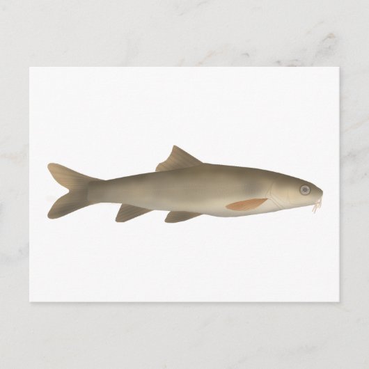 Khont Postkarte (Vorderseite)