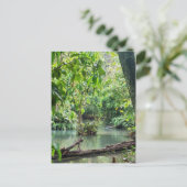 Khoung Si Falls, Forest Lake, Laos Postkarte (Stehend Vorderseite)