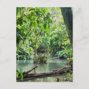 Khoung Si Falls, Forest Lake, Laos Postkarte