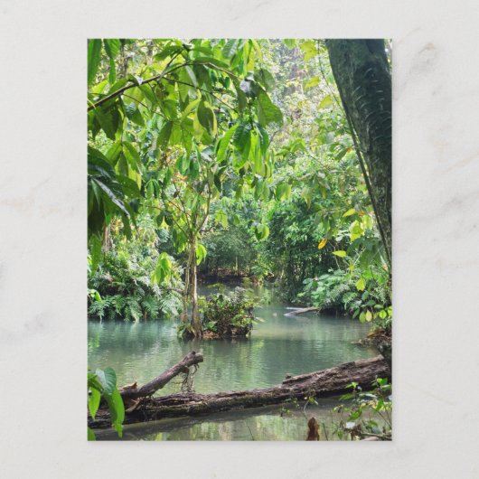 Khoung Si Falls, Forest Lake, Laos Postkarte (Vorderseite)