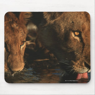 Khwai Fluss, Moremi Tier-Reserve, Botswana Mousepad