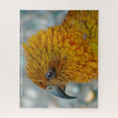 Kia Bird Neuseeland Puzzle (Vertikal)