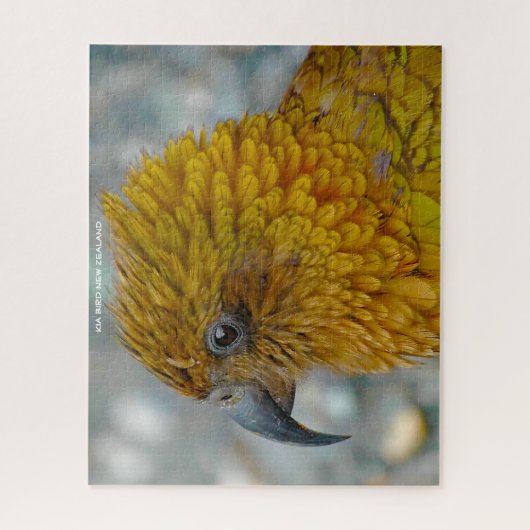 Kia Bird Neuseeland Puzzle (Vertikal)