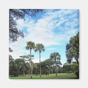 Kiawah- Islandmagnet Magnet